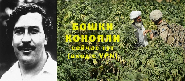 тгк Вяземский