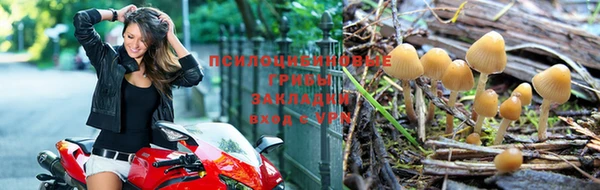прущая мука Волоколамск