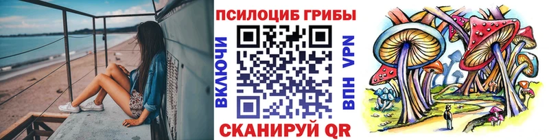 дарнет шоп  Заречный  Галлюциногенные грибы Magic Shrooms 